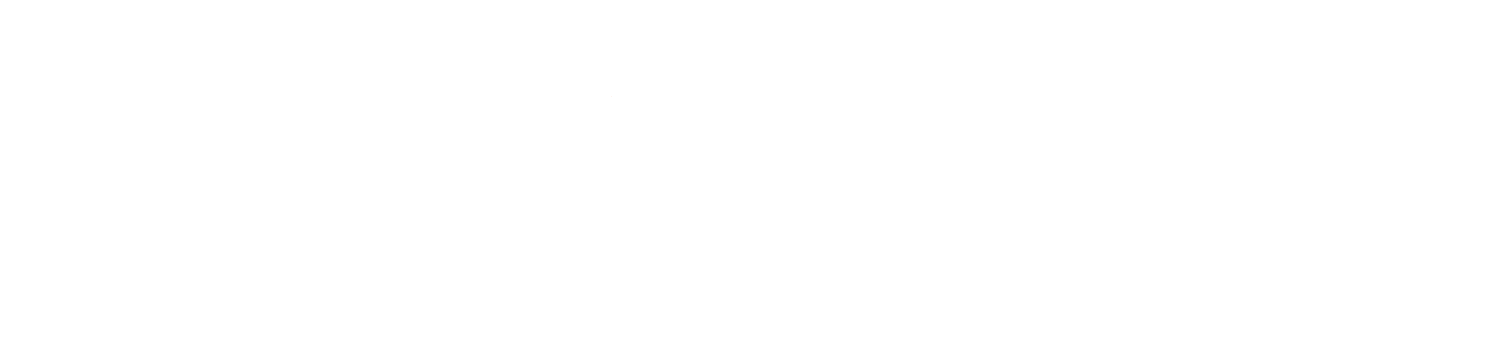 MediaRadar_1col_rev_white